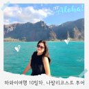 하와이 10일차 나팔리코스트(na pali coast) 현지투어 생생후기, 옷차림 및 준비물 팁까지