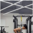 디디핏