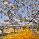 아기곰푸드 이미지