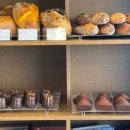 관-비-3-1 이미지