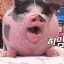 클로버모텔 이미지