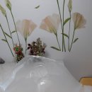 심봉사도로케 이미지