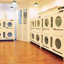 강남켄넬 이미지