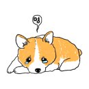 제일2차동물메디컬센터 이미지