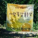 PF농장 이미지