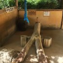 충현공원 | 한국 민속촌 가을 나들이