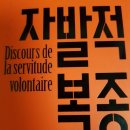 심영길 | 자발적복종