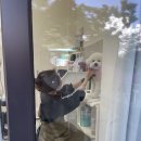 위드두유 이미지