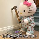 키티 - 창원시 마산합포구 해안대로 15 | 키티