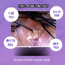 닥터모락 옥길점