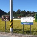 소나무(산촌마을) 이미지