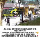 브로우샤샤