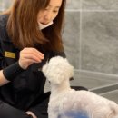 스퀘어독스 서산점 이미지