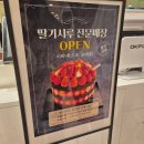 영삼휴게소 | '대전'(성심당) 당일치기