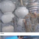 선원미곡 경향신문