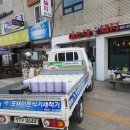 여주댁꽃돼지