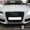 (주)양군모터스 이미지