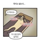 8월 기록!
