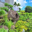 협재통나무집 이미지