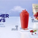 메가엠지씨커피 전라일보