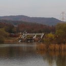 호수정감 이미지