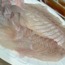 일종수산 이미지