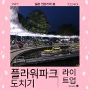 선사업지구 | 아시카가 플라워 파크 라이트업 방문 후기 정보