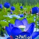 6월7일 뉴스브리핑 이미지