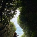 올레요리조트 | 제주 서귀포 가볼만한곳 큰엉해안경승지 한반도 지형 포토존 주차 올레길 5코스