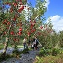 통일로 414번길 이미지