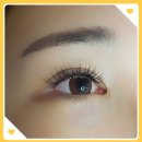 둔산중로-19 이미지