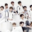 워너클린 이미지