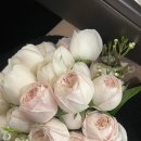 현정축사 이미지