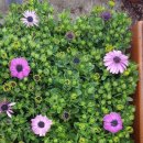 아가둥지 어린이집 이미지