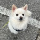 에바 가위컷 전문점 이미지