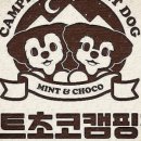 민트초코캠핑장 네이버블로그