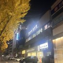 유사사 유도관 | 유도 완전 초보 2주 후기