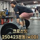 크로스핏 20250423 운동 기록 및 후기 [WOD ep.32]