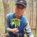 심심산골 이미지