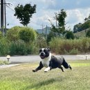 논산별곡 이미지