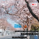 대륜세탁소