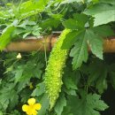 여주-0026 네이버블로그