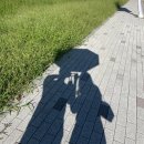 가을이 오는 소리가 들려