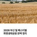 서부산생태투어 | 2026 부산 밀 페스티벌 화명생태공원 후기와 다녀온 정리