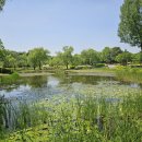 용산가족공원 이미지