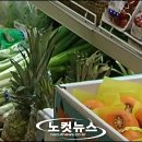 토마토야채과일 이미지