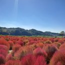 뉴훼미리공인중개사사무소 이미지