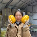 롯데리아성주점 | [2026.03.16~03.22] 바나나빵, 사리곰탕라멘, 참외샐러드, 피크팜 참외, 젤리캣 애착인형, 참참이D-100일