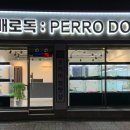 보니더펫 이미지