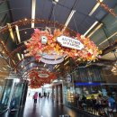 파스텔시티 이미지